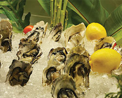 ลิ้มลองหอยนางรมสด จากฝรั่งเศส และปลาแซลมอนชั้นดี จากนอร์เวย์ตลอดเดือนกันยายนนี้