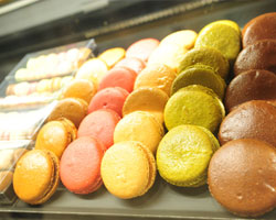 พอล (PAUL) ชวนให้ลอง 