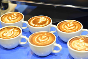 สมาคมกาแฟพิเศษไทย เปิดงาน Thailand Coffee Fest 2017  มหกรรมกาแฟที่ยิ่งใหญ่ที่สุดในเอเชียแปซิฟิค