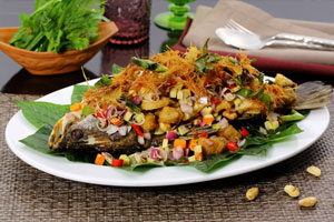 อิมแพ็ค ชวนแซ่บกับเมนูอีสานจานโปรดที่ร้านอีสาน แอ็ท อารีน่า 